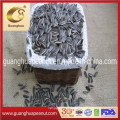 Factory Price Sunflower Seeds Kernels Bakery Grade